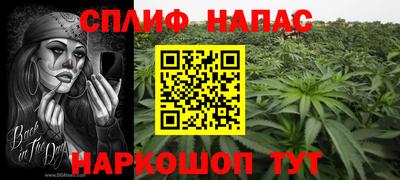 дживик Кунгур